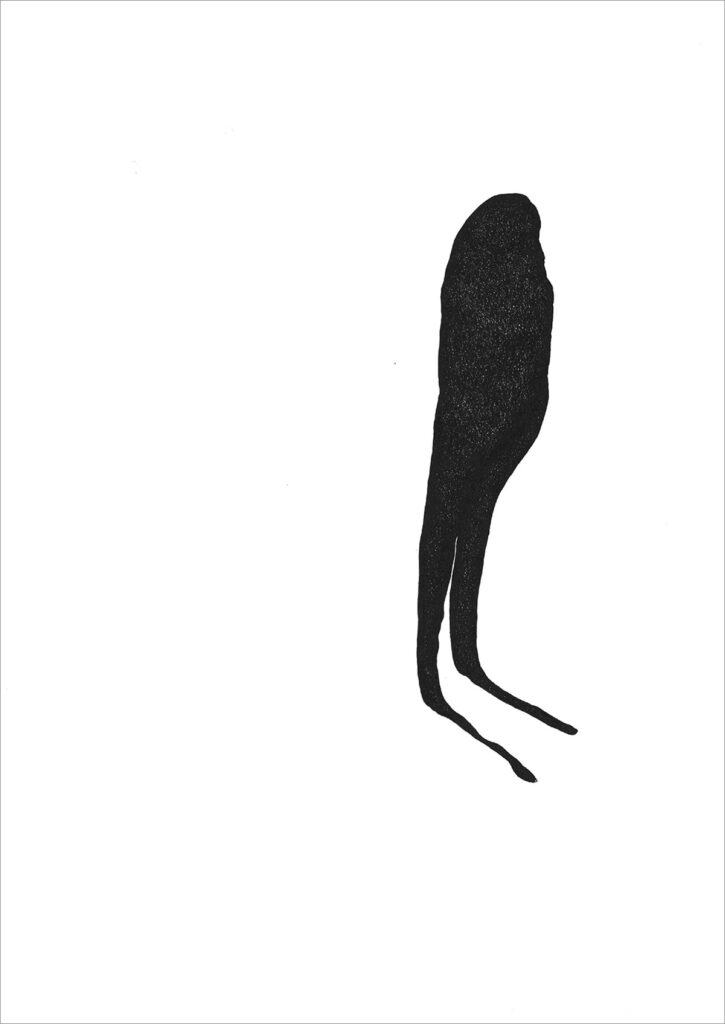 Rita Casdia, Shapeless